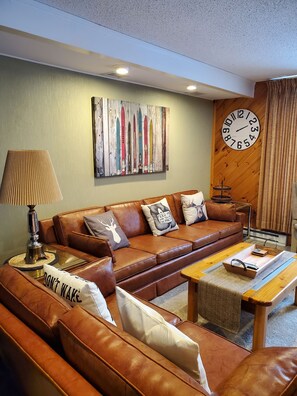 Smart TV, chimenea, libros y monitor de computadora