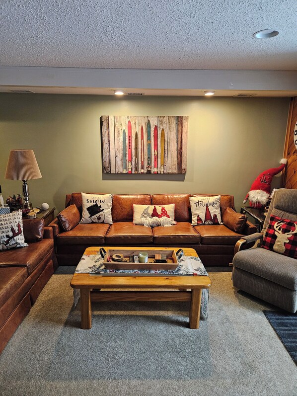 Smart TV, fireplace, books, computer monitors