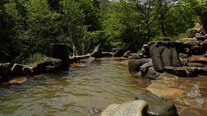 A natural outdoor setting with a stream, rocks, and trees.