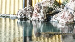 A stone pool with a bamboo backdrop.