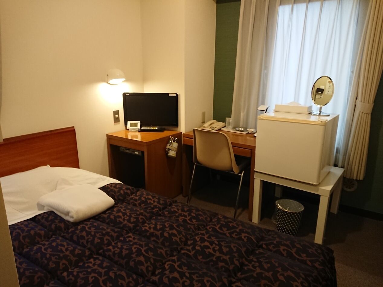 A hotel room with a bed, a desk, a chair, a television, a mirror, and a trash can.