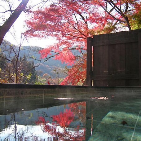 Pool. Minakami Onsen Kkr Hotel Minakami Suimeiso