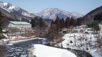 A building with a green roof, surrounded by snow-covered mountains and a river.
