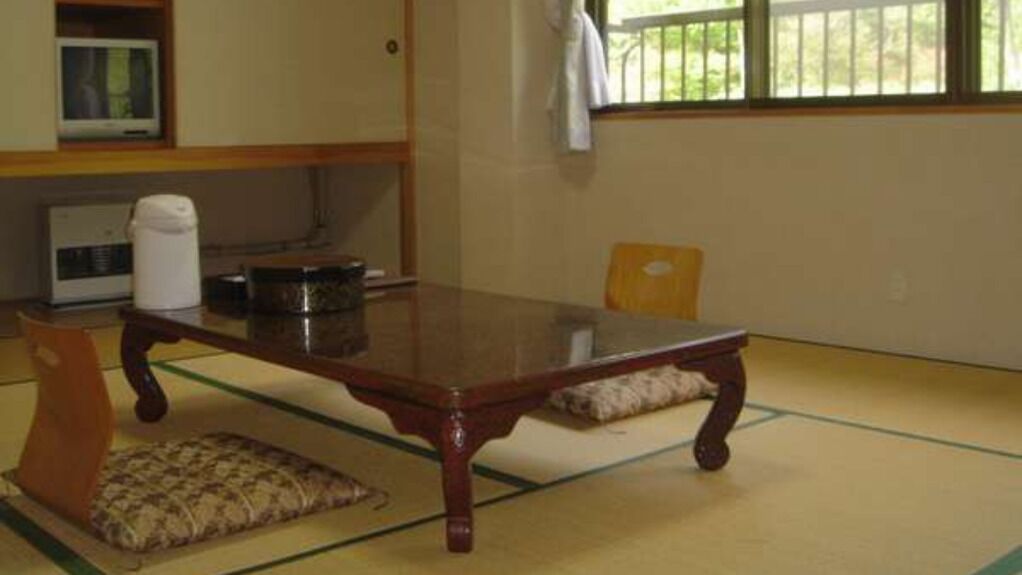 A tatami mat room with a low wooden table, cushions, a television, and a window with a view.