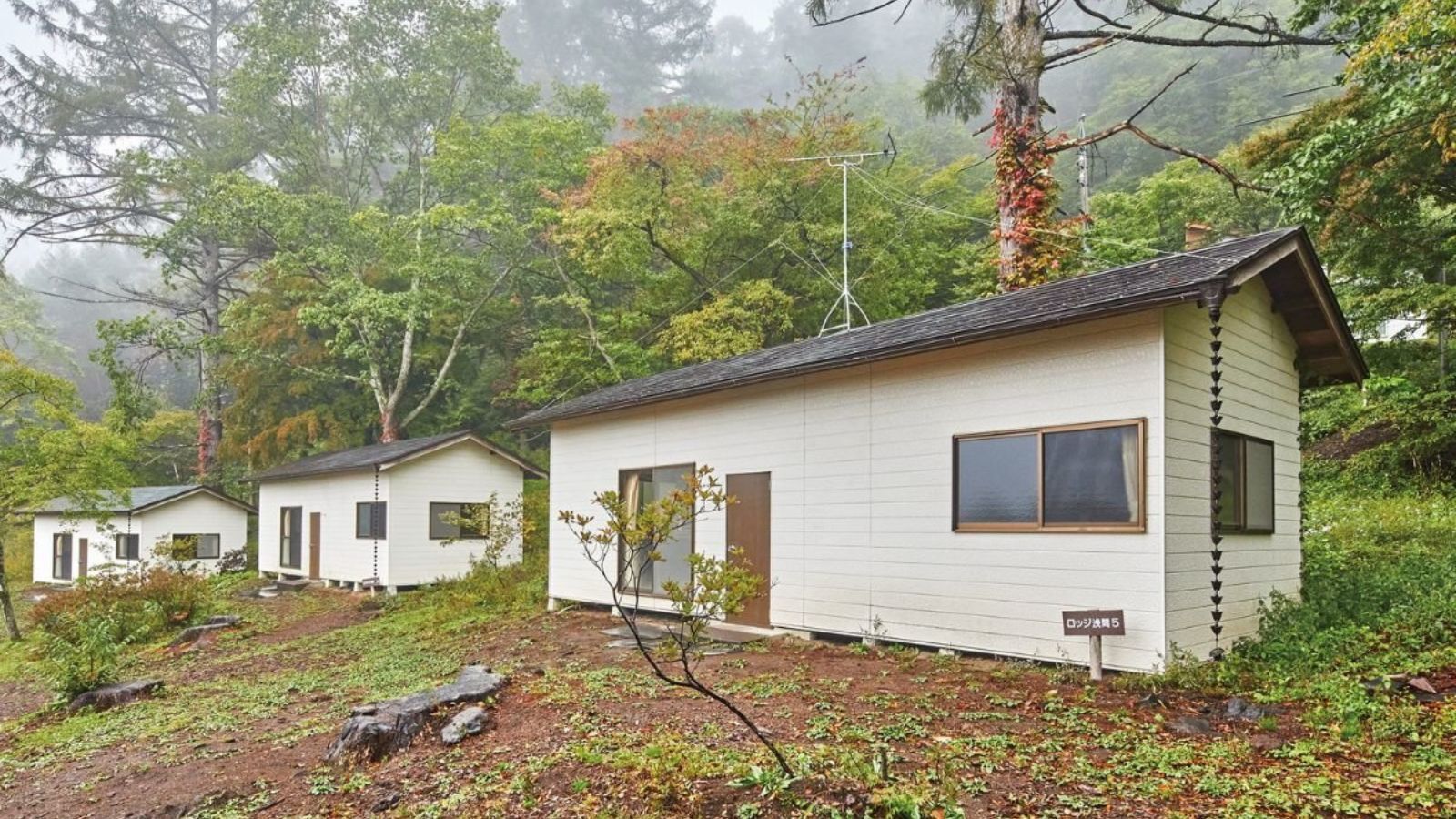 A row of small, white cabins with a single window and door, surrounded by dense forest and mist.