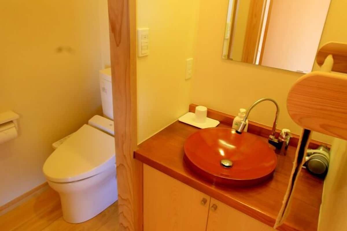 A small bathroom with a white toilet, a wooden vanity with a red sink, and a mirror above the sink.