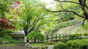A tranquil garden with a wooden bridge, a small building, and a variety of trees. - Rindou (Shizuoka)