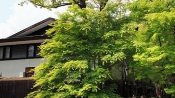 A building with a modern architectural style, a paved pathway, and a large tree in the foreground.