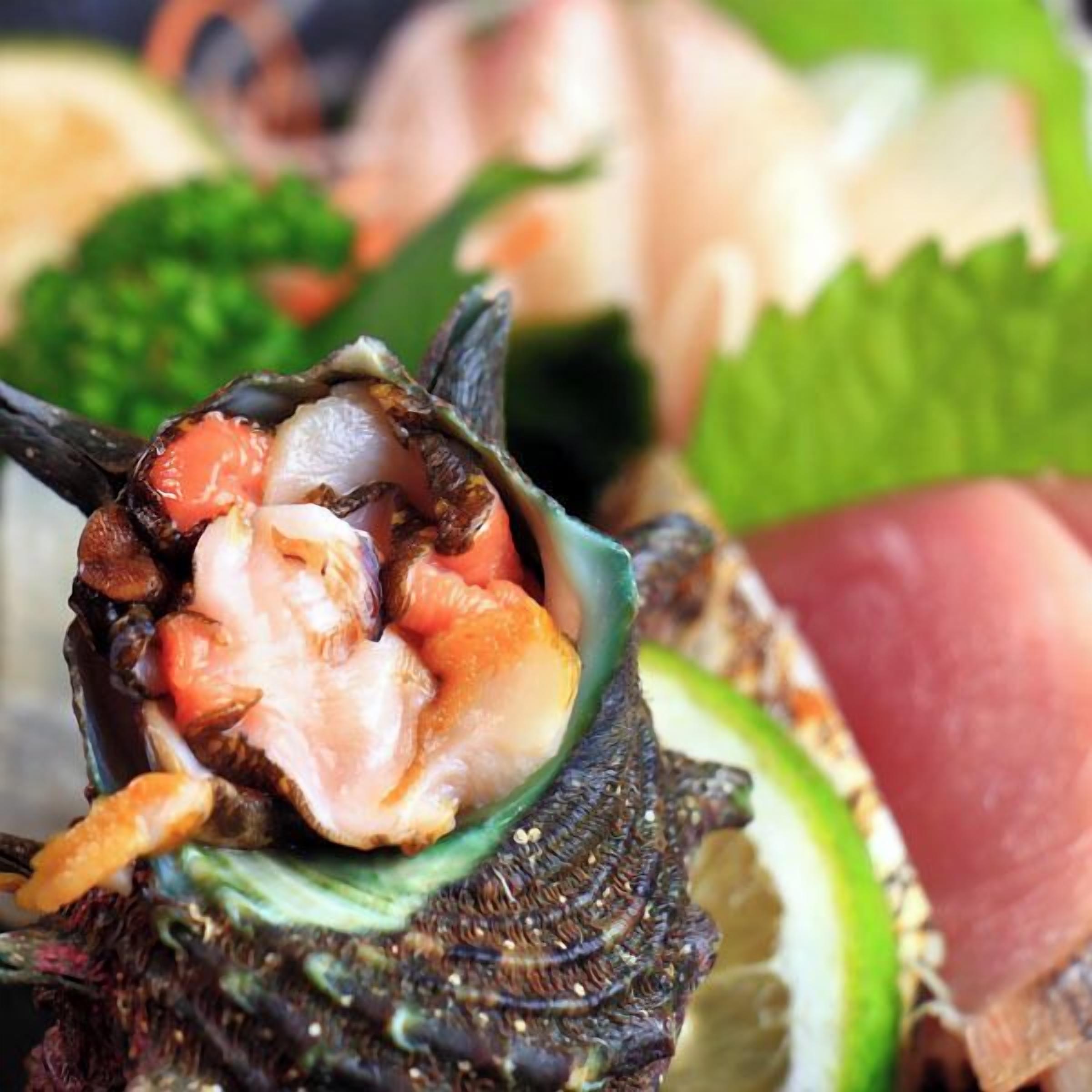 A close-up of a shell with a piece of meat inside, possibly a type of seafood.
