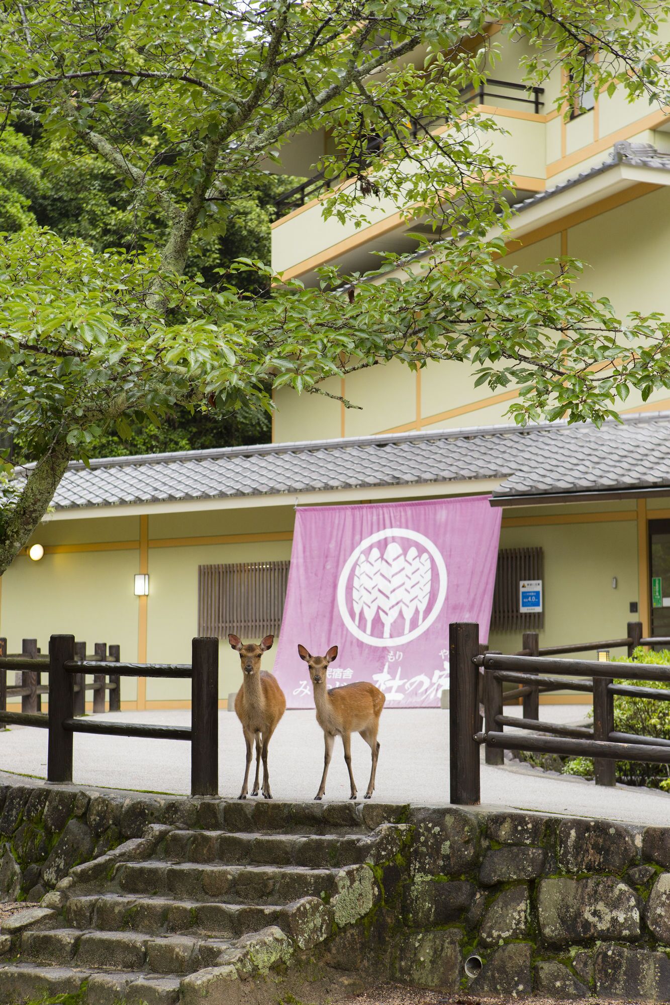 المنطقة المحيطة بالمنشأة