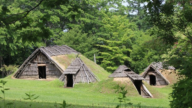 Cabañas de madera tradicionales con techos de paja en un campo cubierto de hierba, rodeadas de árboles.