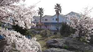 A residential area with houses, a lawn, and cherry blossoms. - Green Stay Nagaura (Suooshima)