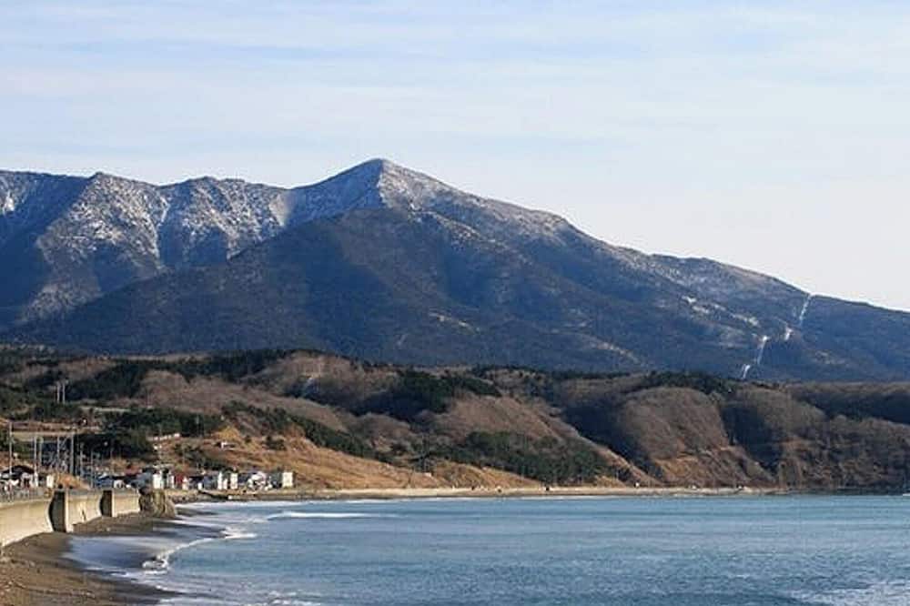 아포이 산소