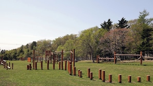 Un patio de juegos al aire libre con diversas estructuras recreativas y un campo de césped.