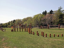 An outdoor playground with various play structures and a grassy field.