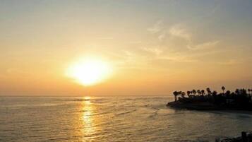 A sunset over a calm sea with a rocky shoreline and palm trees silhouetted against the sky.