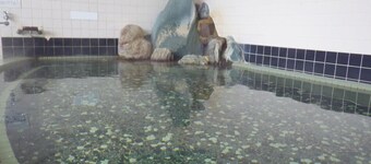 Nagaoka Kamaburo Onsen Ryokan