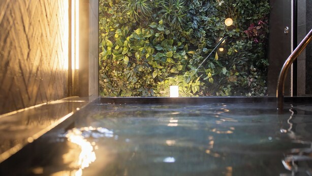 Spa - Super Hotel Anan Shiyakushomae (Anan)