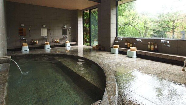 Unclassified image, 1 of 14, button - Ryokan Kozyo (Yabu)