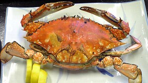 Eten en drinken