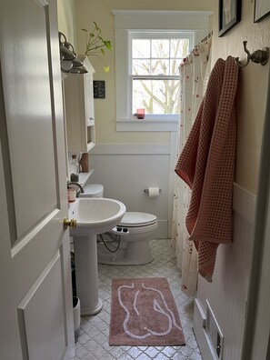 Bathtub, bidet, towels, soap