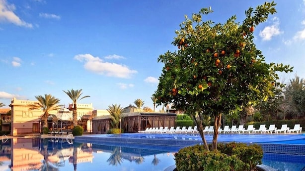 A hotel pool area with a tree bearing fruit, lounge chairs, and a clear sky. - Palmeraie Village 609 (Marrakech)