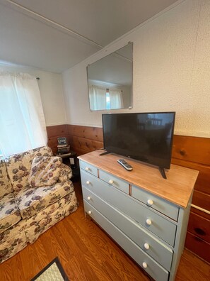 Smart TV -  #4-The Lazy Fish (Au Sable Charter Township)