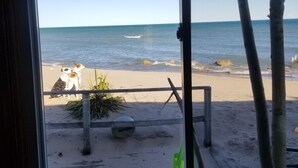 Vista da praia pela janela, mostrando uma praia de areia, um banco de madeira e uma planta verde.