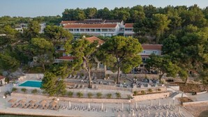 An aerial view of a coastal resort with a swimming pool, lounge chairs, and a large building with multiple stories. - Hotel Milna (Milna)