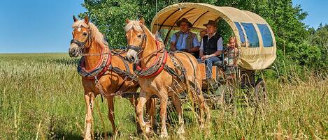 Un carro cubierto con pasajeros y dos caballos tirando por un campo cubierto de hierba.