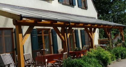 Haflingerhof Galster