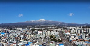 Vistas al campo desde el alojamiento