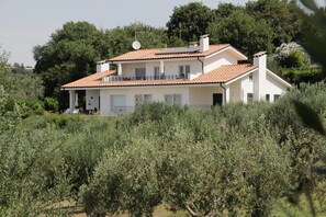 Exterior - Holiday apartment near Rome - panorama terrace, Sea view - garden, olive grove (Lazio)
