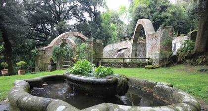 Villa Stauder - bei Rom, mit Dachterrasse - Meeresblick,Garten, Park, Olivenhain