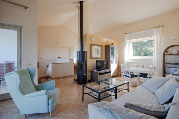 TV, fireplace, books, music library