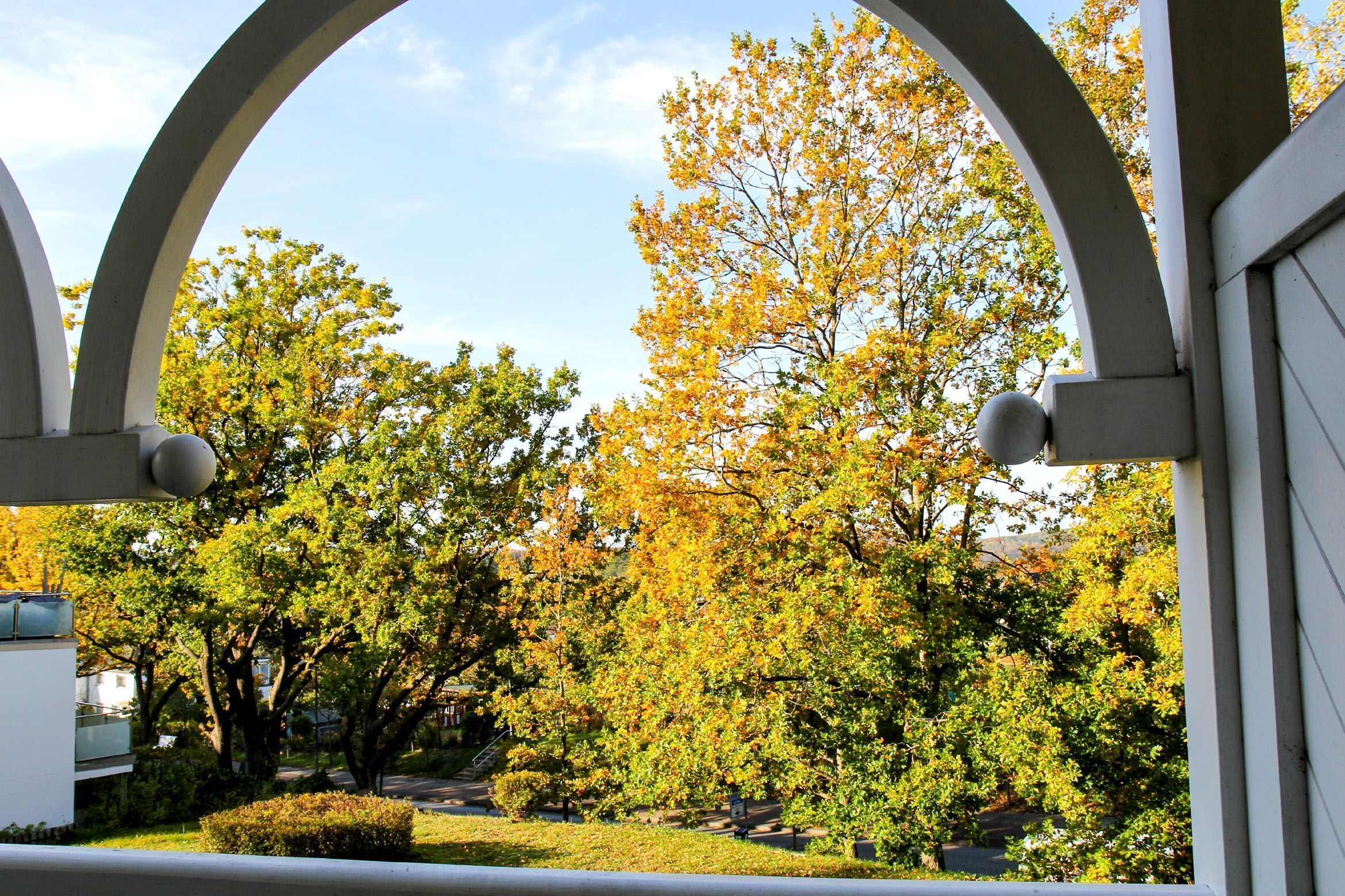 Parco della struttura