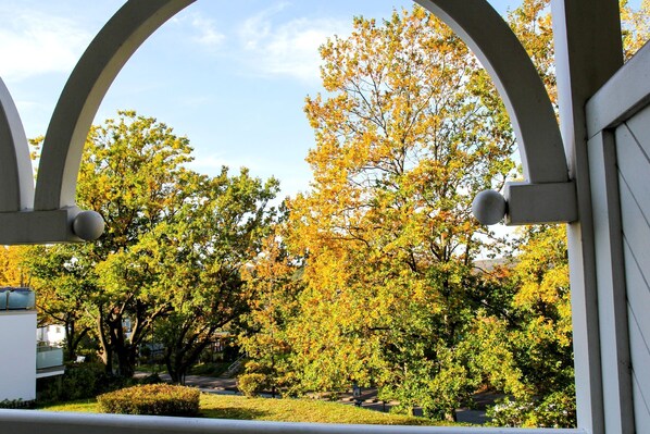 Unclassified image, 1 of 11, button