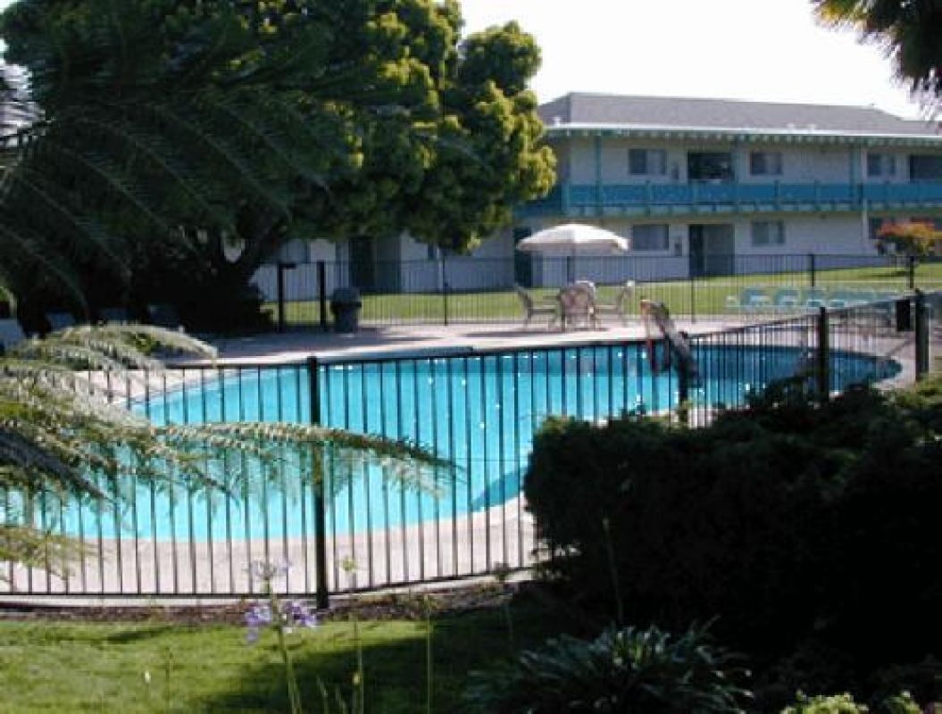 RARE FIND! AWESOME UNIT, FREE PARKING, POOL, NEAR ALAMEDA FERRY TERMINAL!