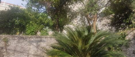 Huoneisto (One Bedroom Apartment) | Ulkopuoli