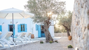 Un edificio bianco con persiane blu, posti a sedere all'aperto e un albero.