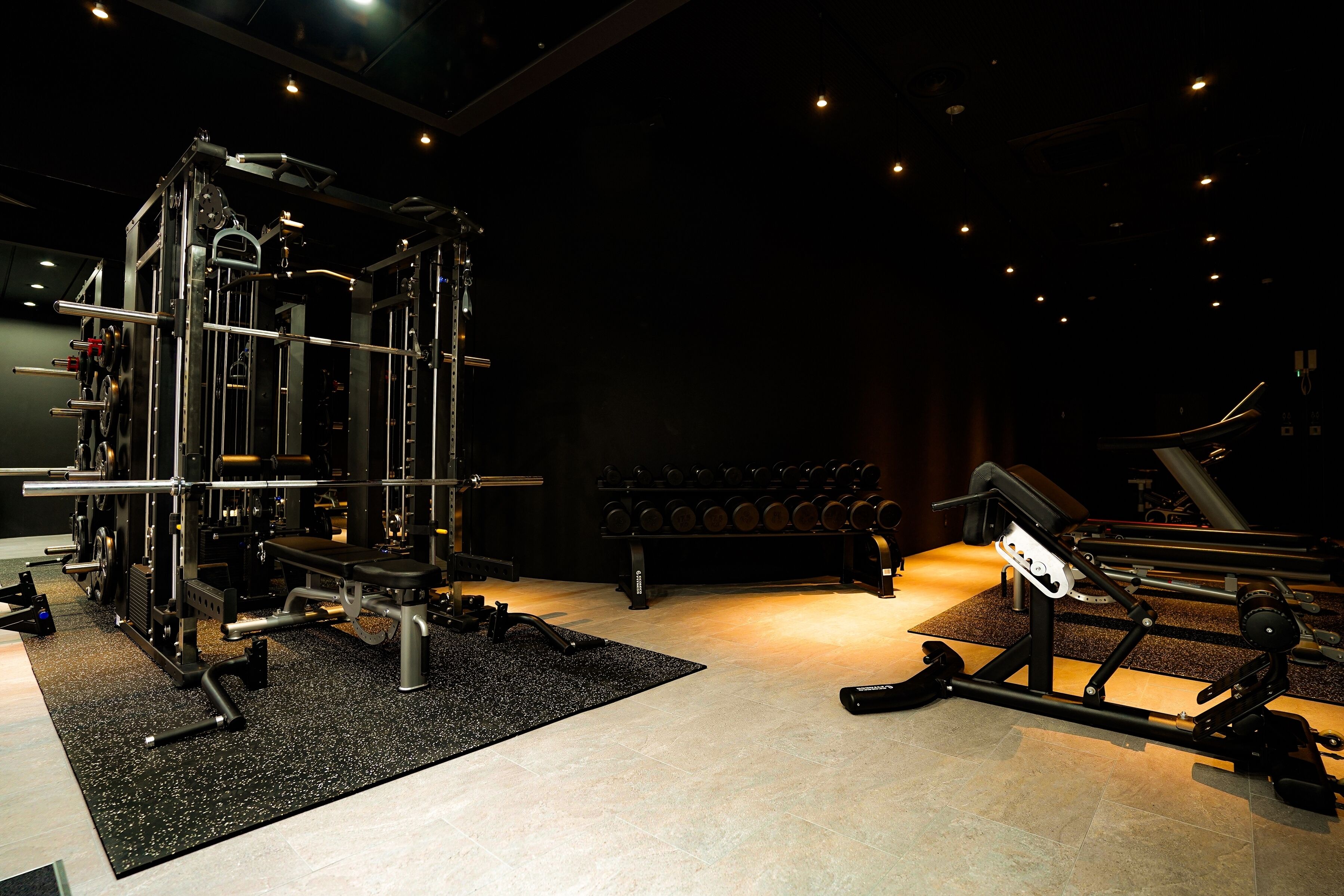 A gym with various exercise equipment, including a squat rack, bench press, and dumbbells.
