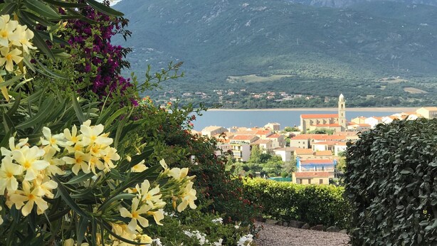 A pathway leading to a town with mountains in the background. - Mini-villa T2 - Résidence Terra Théa**** (Propriano)