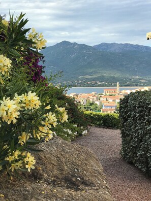 A pathway leading to a town with mountains in the background.