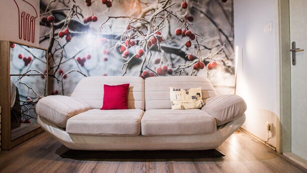 A modern living room with a sofa, a red pillow, and a wall mural of a tree with red berries. - Apartment Nostalgija Split (Split)