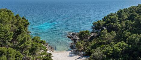 Apartment (Five Bedroom Apartment) | Beach