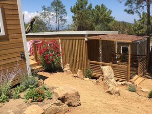 المنطقة المحيطة بالمنشأة