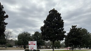 A sign for Colony Inn and De Bruyl's Cafe in a grassy area with trees and a road.