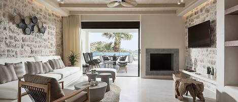 Smart TV, fireplace, books, music library