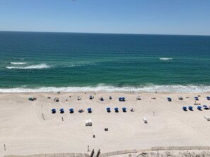 On the beach - Sugar Suite at Phoenix IV (Orange Beach)