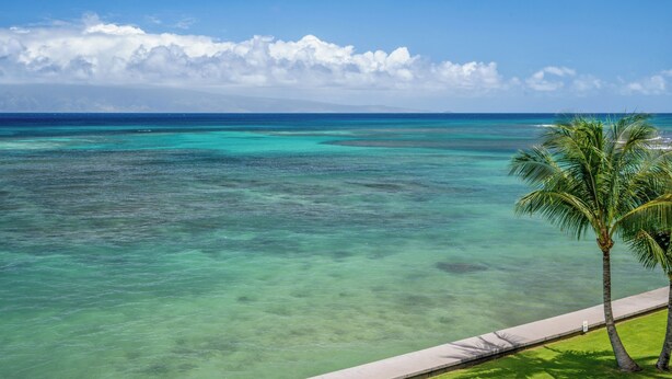 A clear view of a tropical beach with turquoise waters and a paved walkway. - Hale Ono Loa 106 - Relax Steps Away from the Ocean (Lahaina)